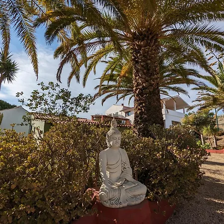 Casa Do Palmeiral - Hoom