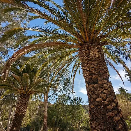 Panzió Casa Do Palmeiral - Hoom 4*