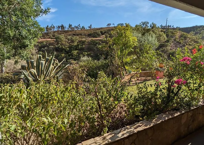 Casa Do Palmeiral - Hoom Oda ve Kahvaltı 4*