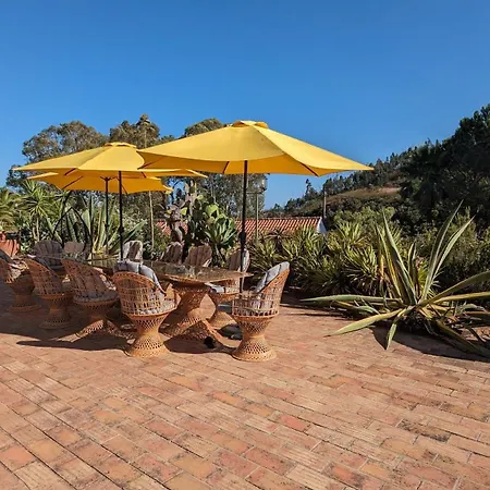 Casa Do Palmeiral - Hoom Nocleg ze śniadaniem