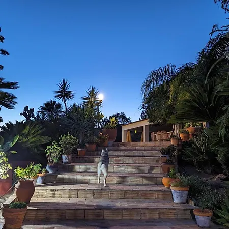 Casa Do Palmeiral - Hoom 4* Montes de Cima