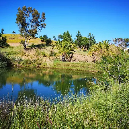 ベッド・アンド・ブレックファスト Casa Do Palmeiral - Hoom