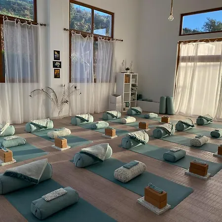 Oda ve Kahvaltı Casa Do Palmeiral - Hoom