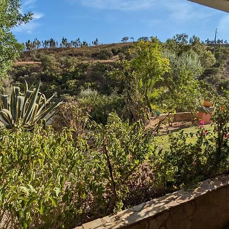 Casa Do Palmeiral - Hoom Oda ve Kahvaltı 4*