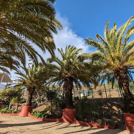 Casa Do Palmeiral - Hoom 4* Montes de Cima